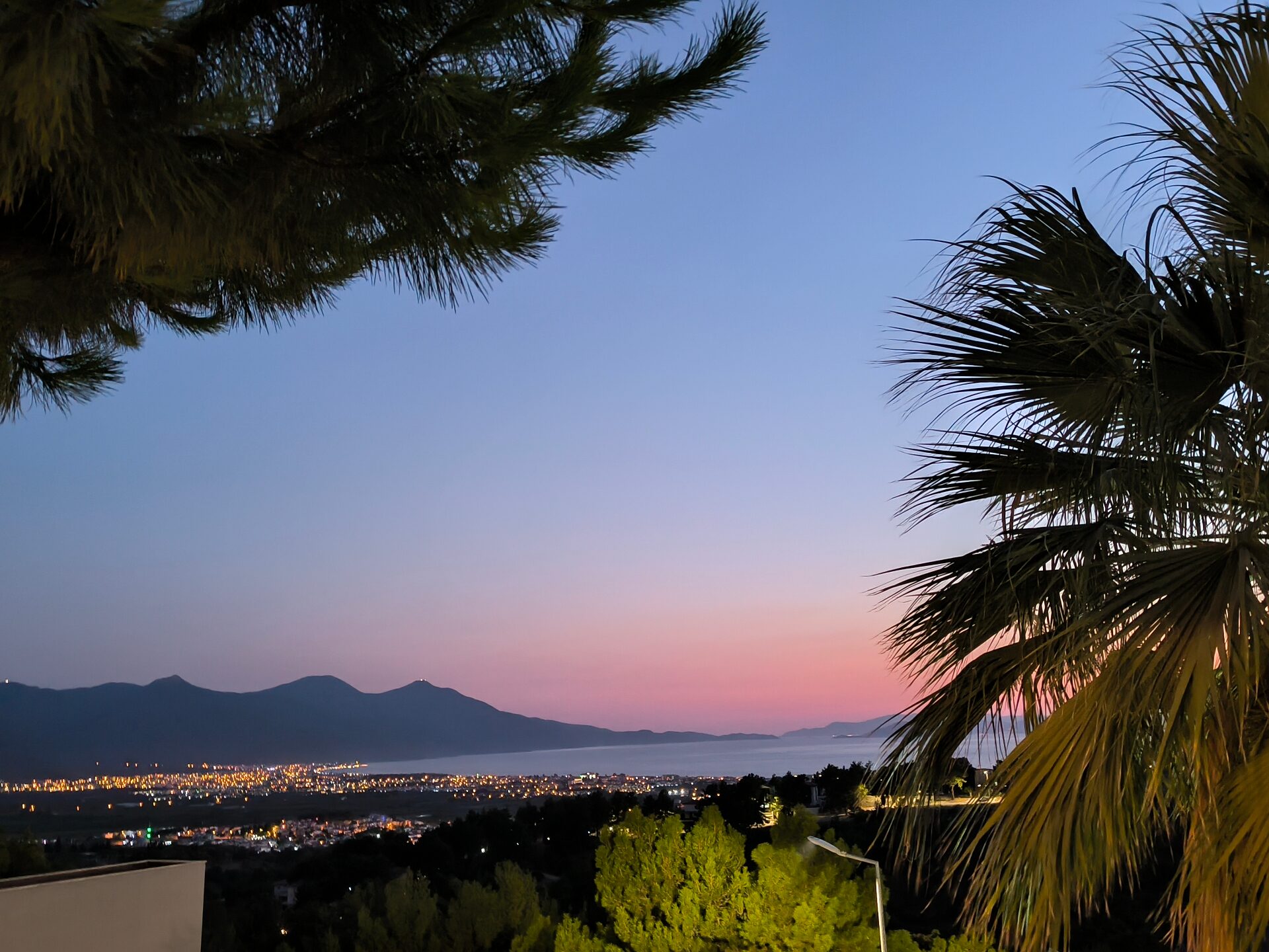 Sunset over the Kuşadası bay framed by pine and palm from the residence terrace