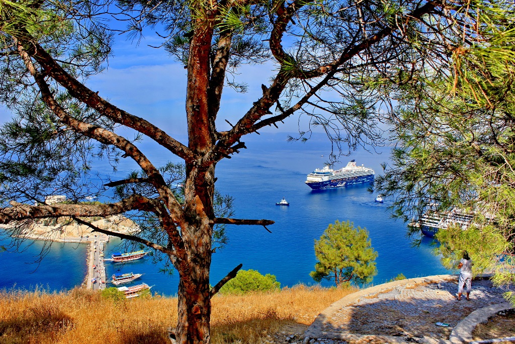 View of Kuşadası harbour and Pigeon Island framed by pine trees